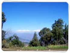 lohaghat Hill Station