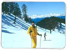 Tour to Auli