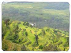Tour to Barkot