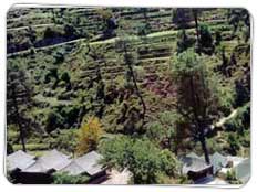 Tour to Barkot