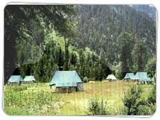 Tour to Dhanaulti