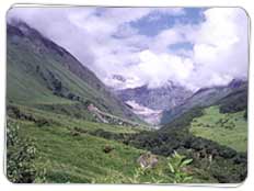 Valley of Flowers