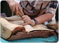 Wood Carving