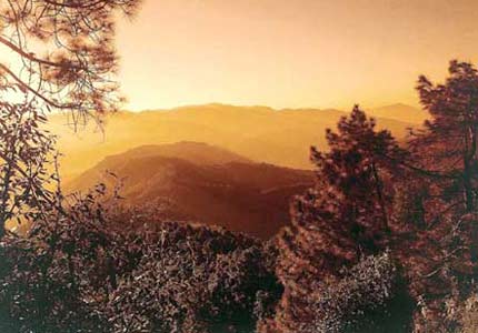 Wildflower Hall Picture Gallery