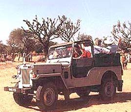 How to Reach Mudumalai Wildlife Sanctuary