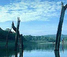Climate in Periyar