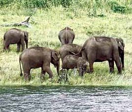 Periyar Happenings