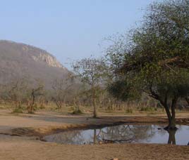Climate in Sariska Wildlife Sanctuary
