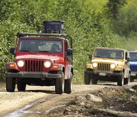 Transport in Sariska Wildlife Sanctuary