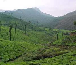 Climate in Wayanad Wildlife Sanctuary