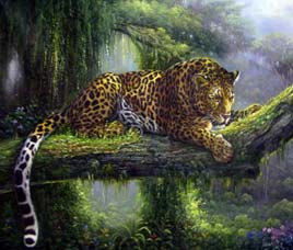 Fauna in Wayanad