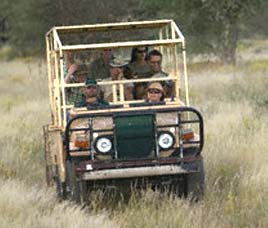 How to Reach Wayanad Wildlife Sanctuary