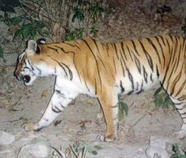 Achanakmar Wildlife Sanctuary