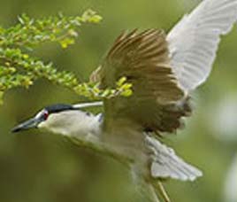 Wildlife Sanctuaries in West India