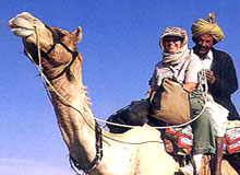 Camel Safari Tour