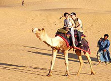 Camel Safari Tour