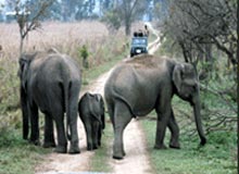 Eastern Himalayan Tour