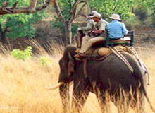 Elephant Safari Tour