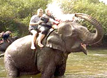 Elephant Safari Tour