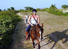Horse Safari Tour