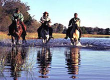 Horse Safari Tour