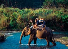 India Nepal Wildlife Tour