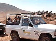 Jeep Safari Adventure in Kumaon Himalayas