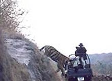 Jeep Safari Adventure in Kumaon Himalayas
