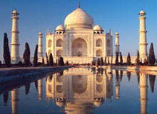 Tour of Taj with Tiger