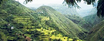 Almora - Discover the Beauty of Kumaon