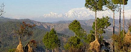 Almora - Discover the Beauty of Kumaon