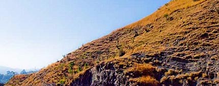 Barog