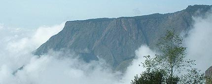 Barog