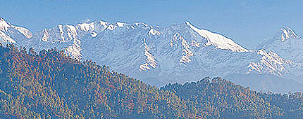 Binsar