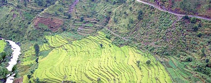 Chindi