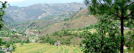 Chindi