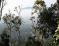 Kerala Tourist Attractions