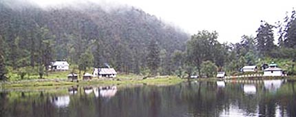 Dodital