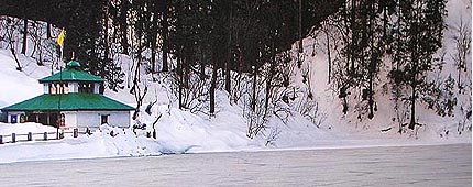 Dodital