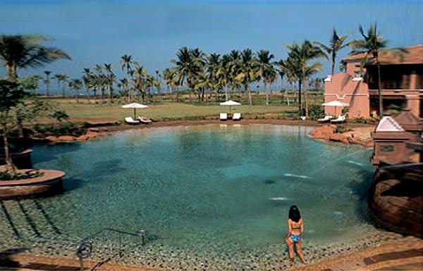 images