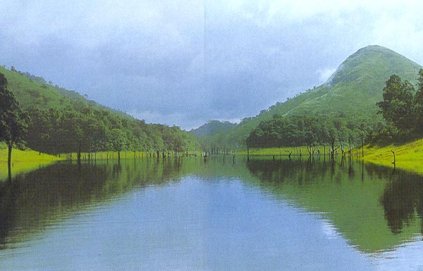 images