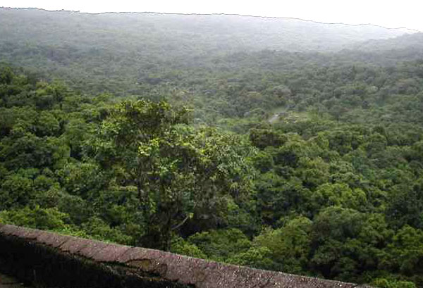 Sanjay Gandhi National Park 