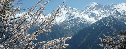 Kalpa