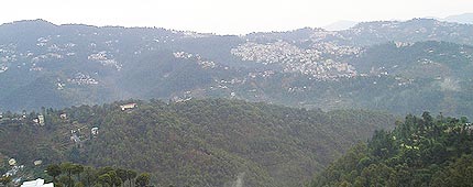 Kasauli