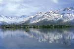 Kashmir
