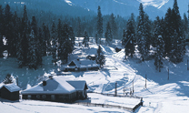 Splendors of Kashmir