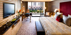 Luxury hotels India