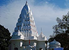 Mansa Devi