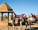 Rajasthan