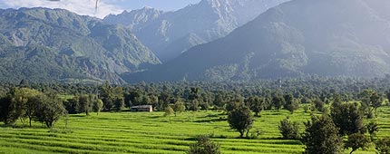 Narkanda Himachal Pradesh